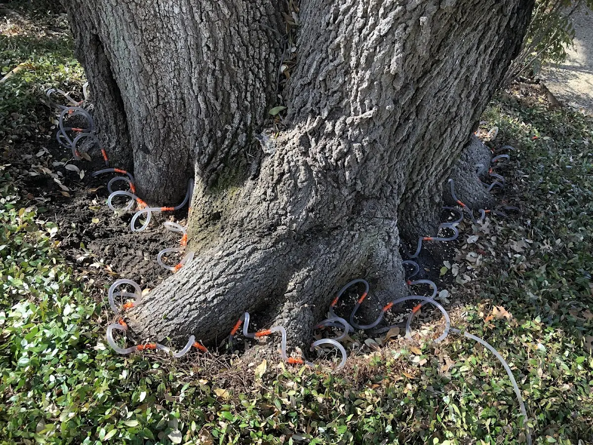 Detailed Shrub and Hedge Trimming job site in Addison