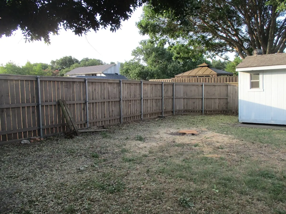 Cleared yard after professional tree removal in Addison